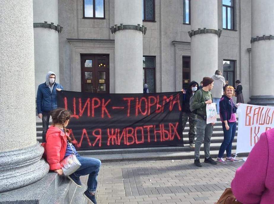 У суседніх краінах абмяркоўваюць забарону на выкарыстоўванне жывёл у цырках: ці магчыма такое ў Беларусі?